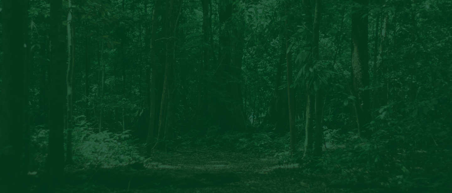 Hero Background